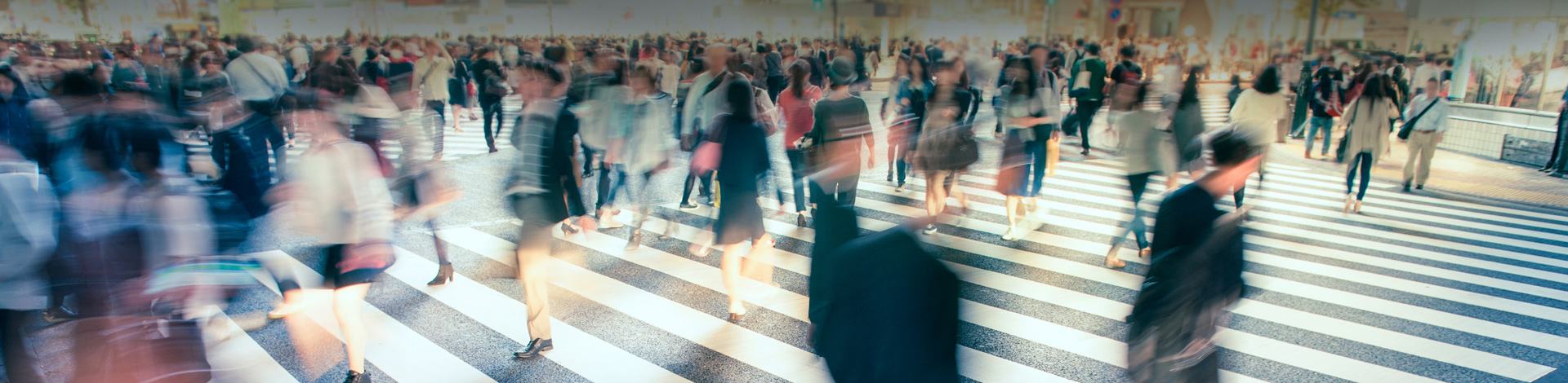 Školení a Konzultace